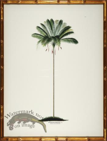 Palm trees in Gold Bamboo 03